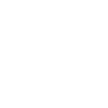 WhiteTS_Expertise v2_Icon